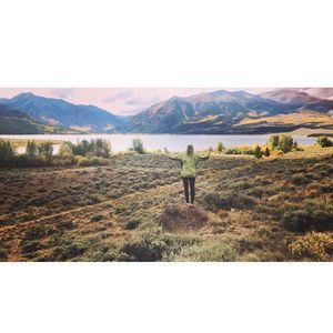 Meet your Posher, Harliquin